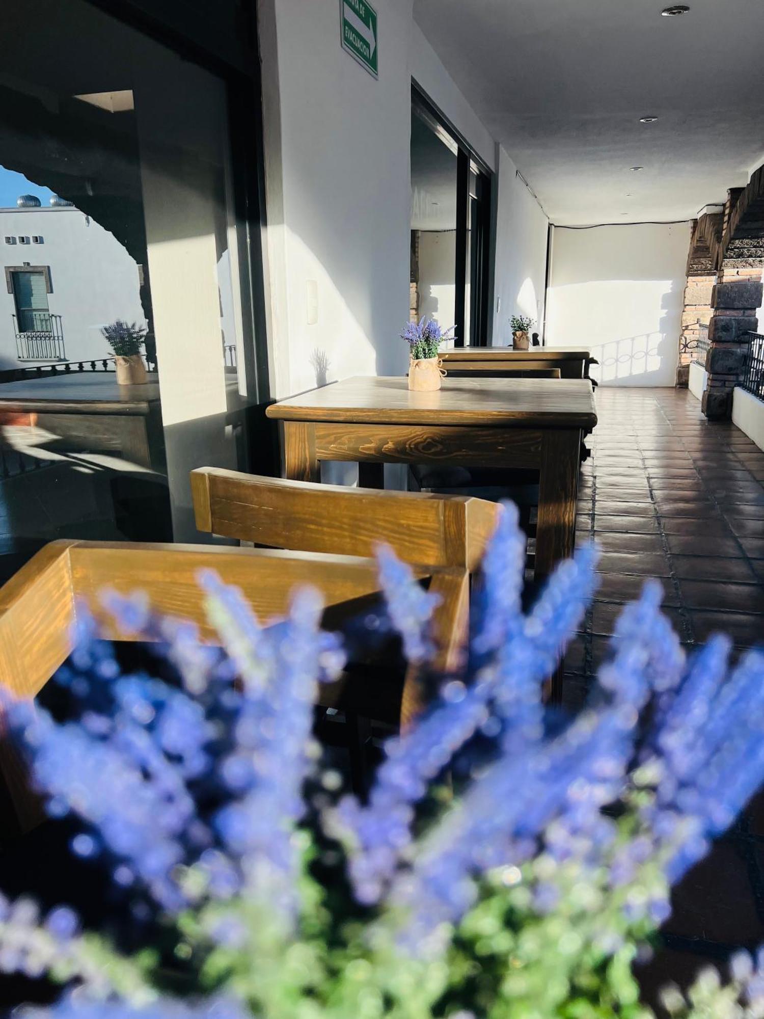 Qa Hotel San Luis Potosí Eksteriør billede